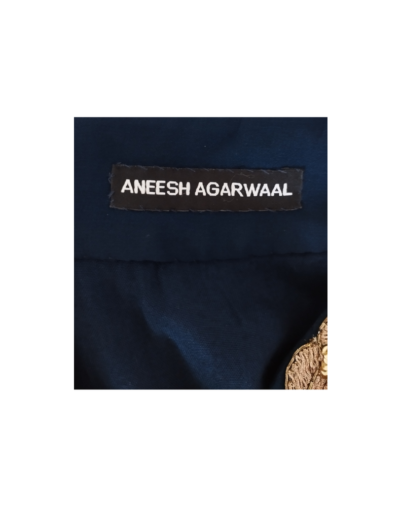 Aneesh Agarwaal